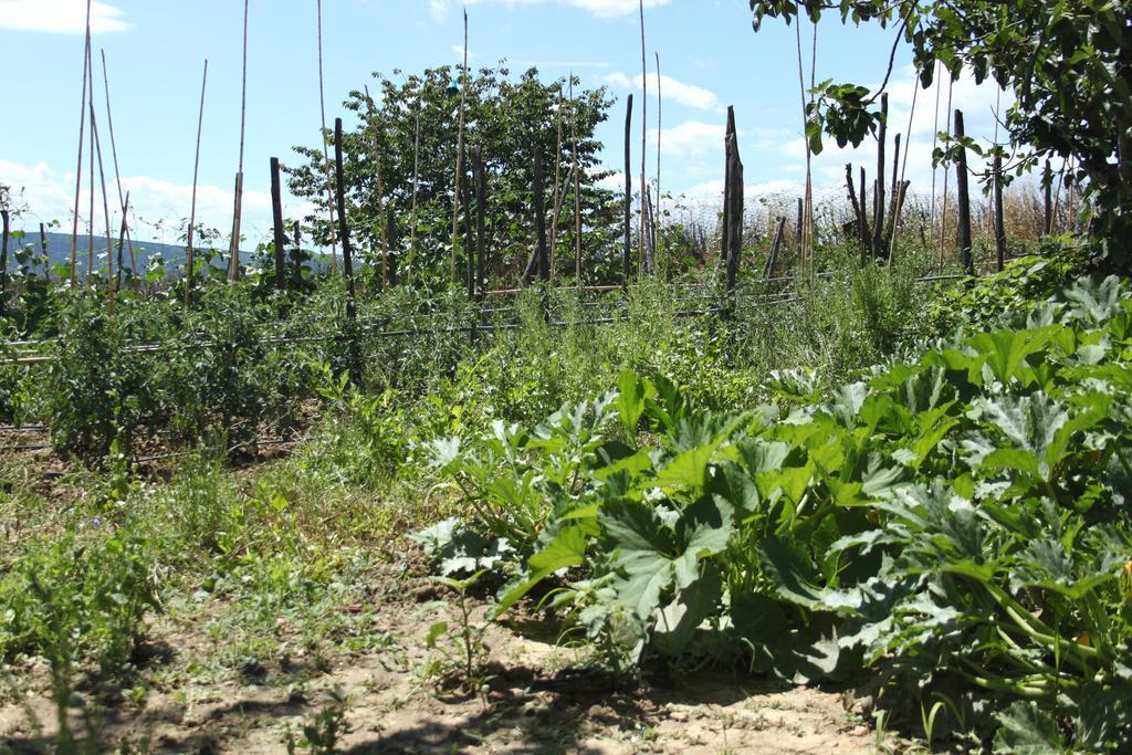 Tenuta La Santissima San Rocco a Pilli Εξωτερικό φωτογραφία